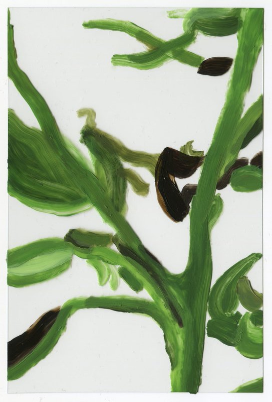 Alex Fischer, Vii C1 Acrylic on Acrylic, 2015-02-23